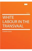 White Labour in the Transvaal
