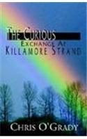 Curious Exchange at Killamore Strand