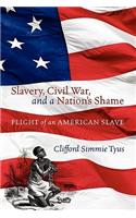 Slavery, Civil War, and a Nation's Shame: Plight of an American Slave