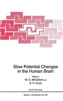 Slow Potential Changes in the Human Brain