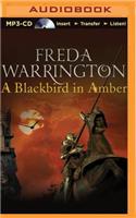Blackbird in Amber