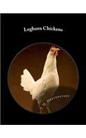 Leghorn Chickens