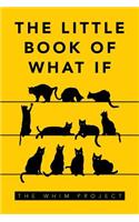 Little Book of What If