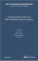 Fundamentals of Gels and Self-Assembled Polymer Systems: Volume 1622