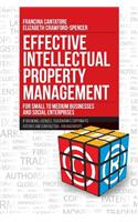 Effective Intellectual Property Management for Small to Medium Businesses and Social Enterprises