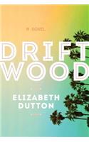Driftwood: A California Road Trip Novel