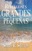 Reflexiones grandes y pequeñas