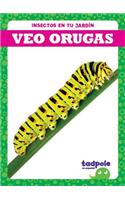 Veo Orugas (I See Caterpillars): (Insectos en Tu Jardín (Backyard Bugs))