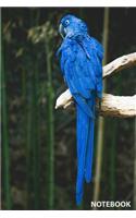Notebook: Wild Nature Series, Parrot, Journal for Writing, College Ruled, Lined Notebook, Soft Cover, Matte, Size 6"x 9" inches, 120 Pages(14 Wild Nature)