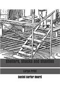 Shelters, Shacks and Shanties: Large Print