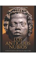 Los antiguos nubios: La historia de una de las civilizaciones más antiguas de África