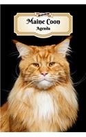 2020 Maine Coon Agenda