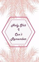 Holy Shit I can't Remember