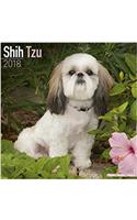 Shih Tzu Calendar 2018