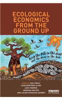 Ecological Economics from the Ground Up