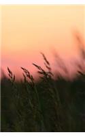 Corn Field Notebook