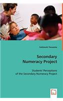 Secondary Numeracy Project