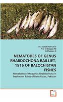 Nematodes of Genus Rhabdochona Railliet, 1916 of Balochistan Fishes