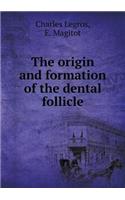 The Origin and Formation of the Dental Follicle