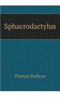 Sphacrodactylus: (English)