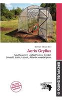 Acris Gryllus