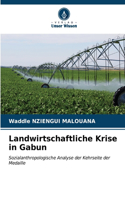 Landwirtschaftliche Krise in Gabun