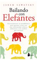 Bailando Con Elefantes