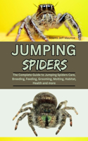 Jumping Spiders