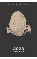 Klettern Felsen Stein Kalender 2020: Jahreskalender für Kletterfans und Fitnessbegeisterte