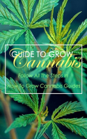 Guide To Grow Cannabis: Follow all the steps in how to grow cannabis guides