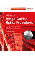 Atlas of Image-Guided Spinal Procedures: Expert Consult - Online and Print