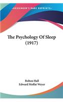 Psychology Of Sleep (1917)