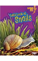 Lets Look at Snails: (Lightning Bolt Books Animal Close-Ups)