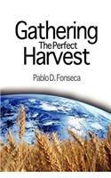 Gathering the Perfect Harvest