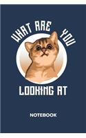 What Are You Looking At NOTEBOOK: Ruled Notepad Cats Sketchbook Cat Owners Organizer Feline Friends Planner Boyfriend or Girlfriend Gift A5 Diary 6x9 Inch Journal Lined 120 Pages Bir