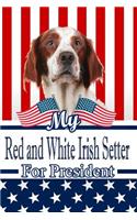 My Red and White Irish Setter for President