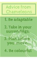 Advice From Chameleons
