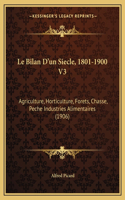 Le Bilan D'un Siecle, 1801-1900 V3