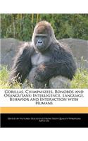 Gorillas, Chimpanzees, Bonobos and Orangutans