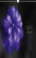 L'Annee Florale 2017: 13 Fleurs Pour Une Annee(Calvendo Nature)