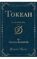 Tokeah, Vol. 2 of 2: Or, the White Rose (Classic Reprint): Or, the White Rose (Classic Reprint)