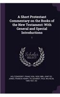 A Short Protestant Commentary on the Books of the New Testament
