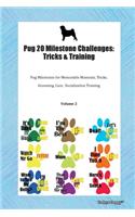 Pug 20 Milestone Challenges: Tricks & Training Pug Milestones for Memorable Moments, Tricks, Grooming, Care, Socialization Training Volume 2