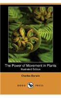 Power of Movement in Plants (Illustrated Edition) (Dodo Press)