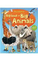 Big Book of Big Animals