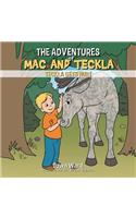 The Adventures of Mac and Teckla