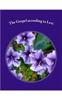 The Gospel according to Levi