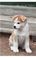 Akita Inu 4th Notebook Record Journal, Diary, Special Memories, To Do List, Academic Notepad, and Much More