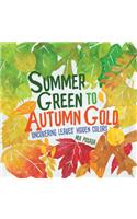 Summer Green to Autumn Gold