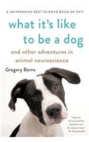 What It's Like to Be a Dog
